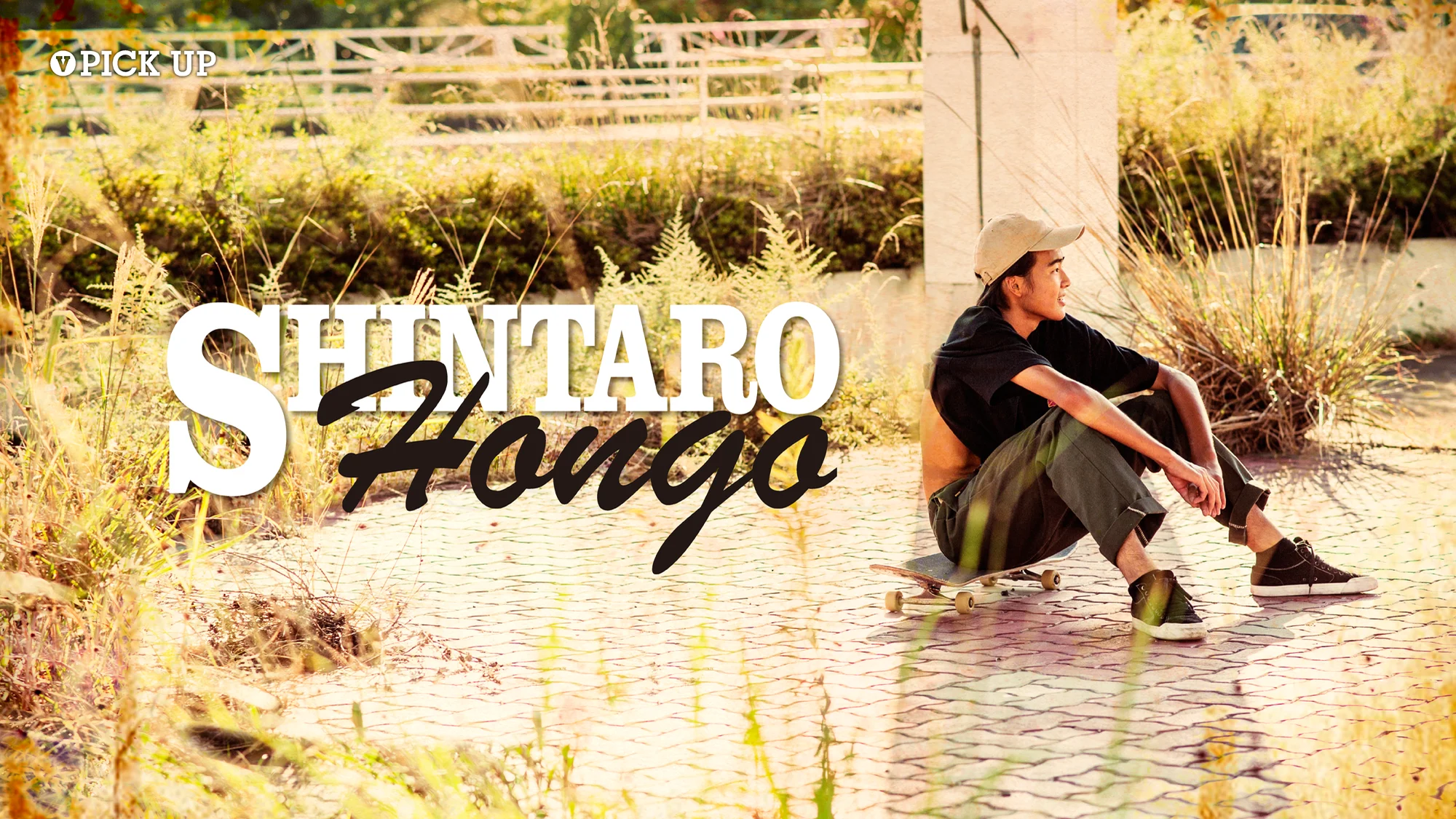 PICK UPS] SHINTARO HONGO / 本郷真太郎 | VHSMAG