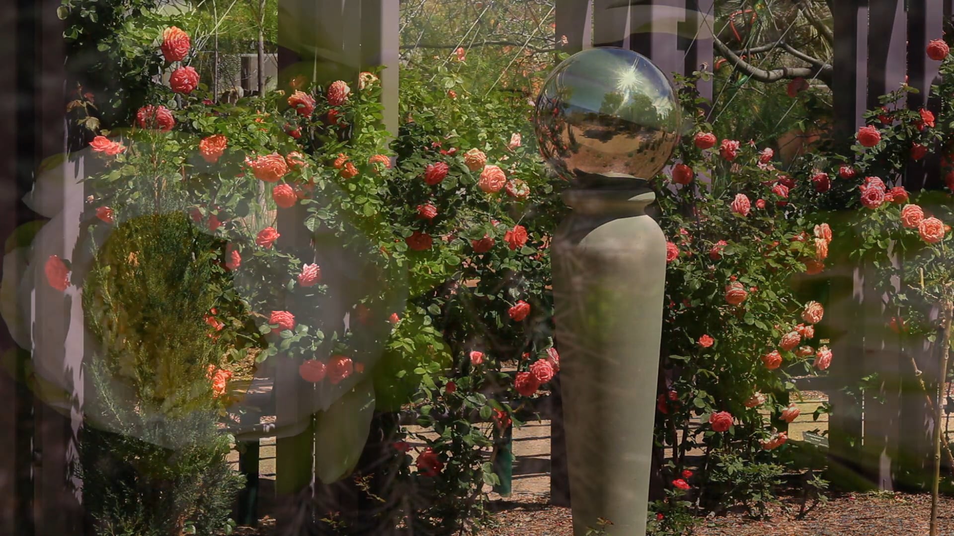 Springs Preserve Membership Promo on Vimeo