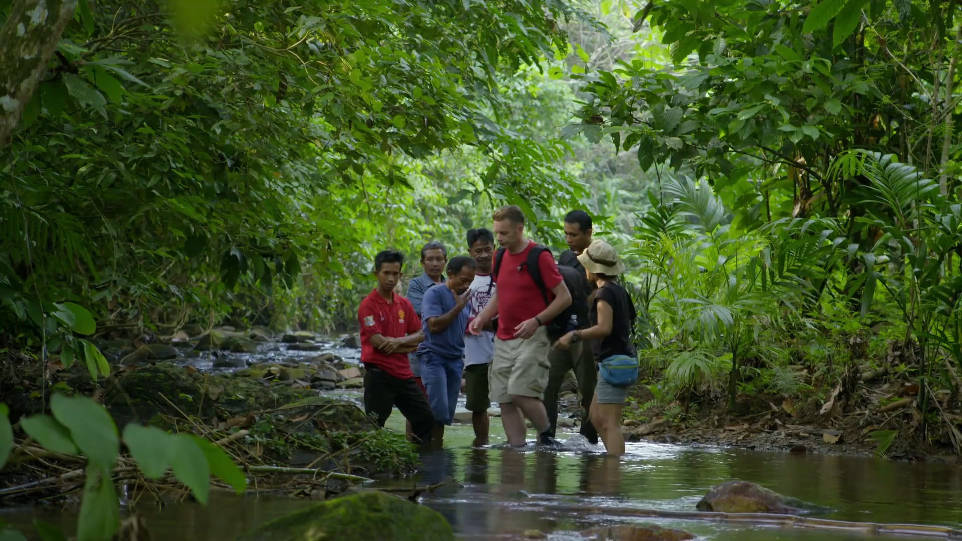 Chris Packham - In Search Of The Lost Girl