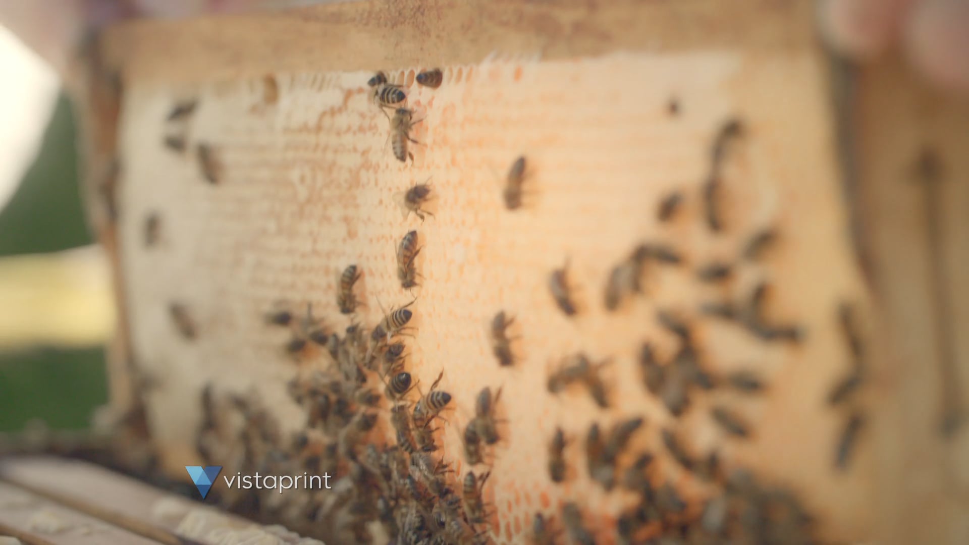 Promote what makes your business great // Phase 2