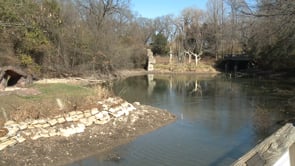 Repairs to Gibbon Lake at the Zoo