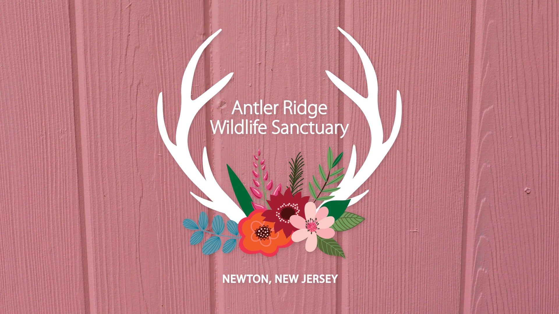 Antler Ridge Wildlife Sanctuary / Video on Vimeo