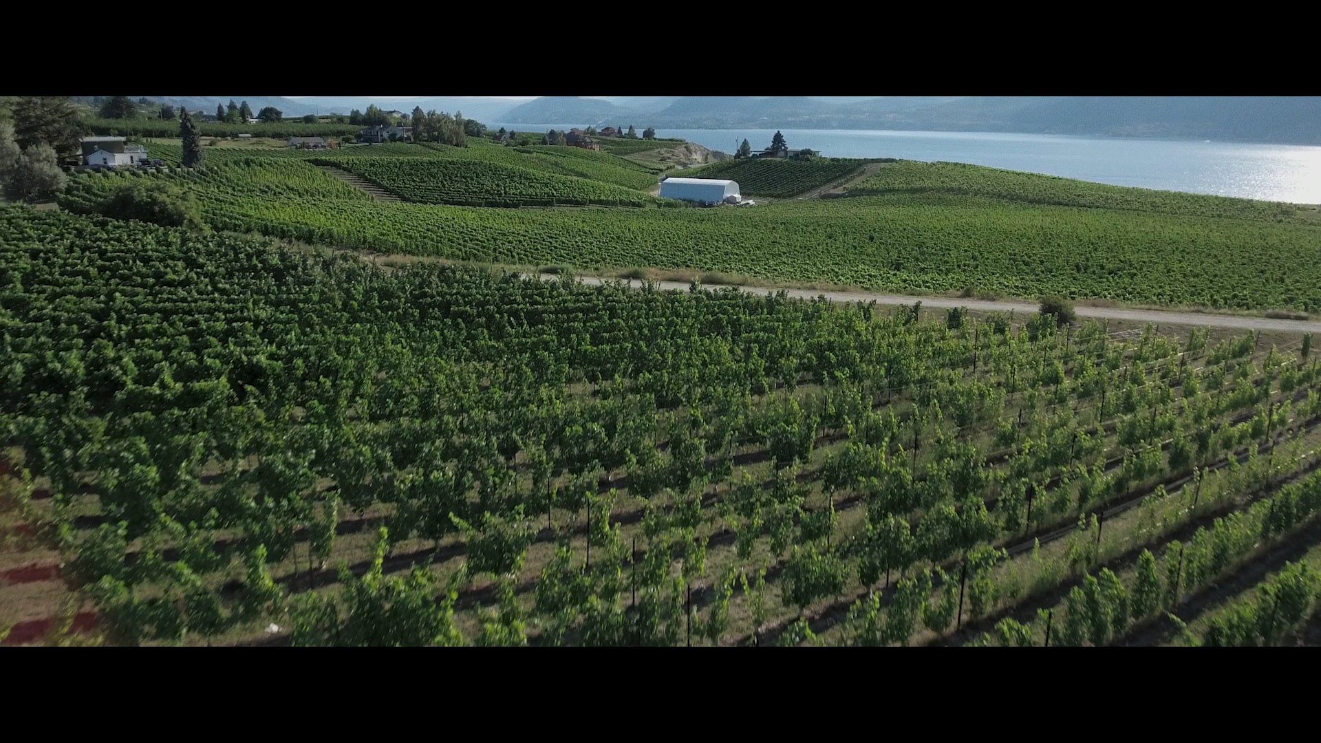 Welcome to Poplar Grove