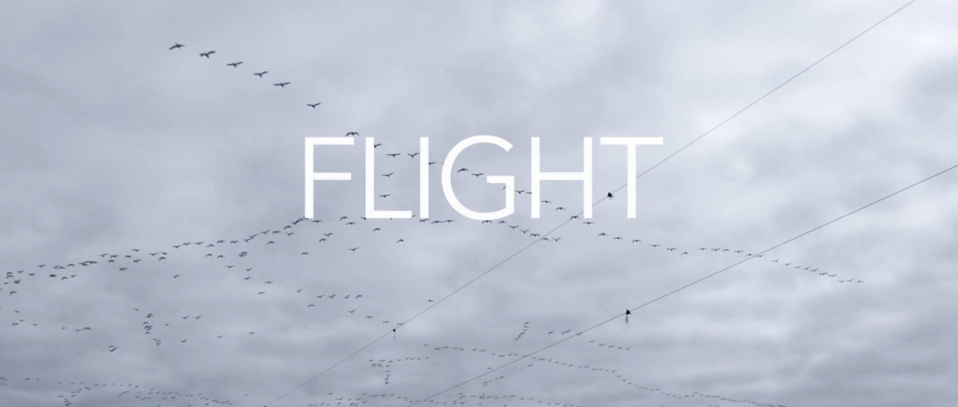 Flight on Vimeo