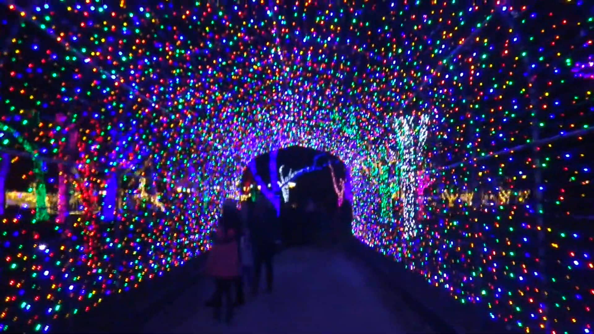 'Bright Lights 2017', Jackson Park, Windsor, Ontario, Canada on Vimeo