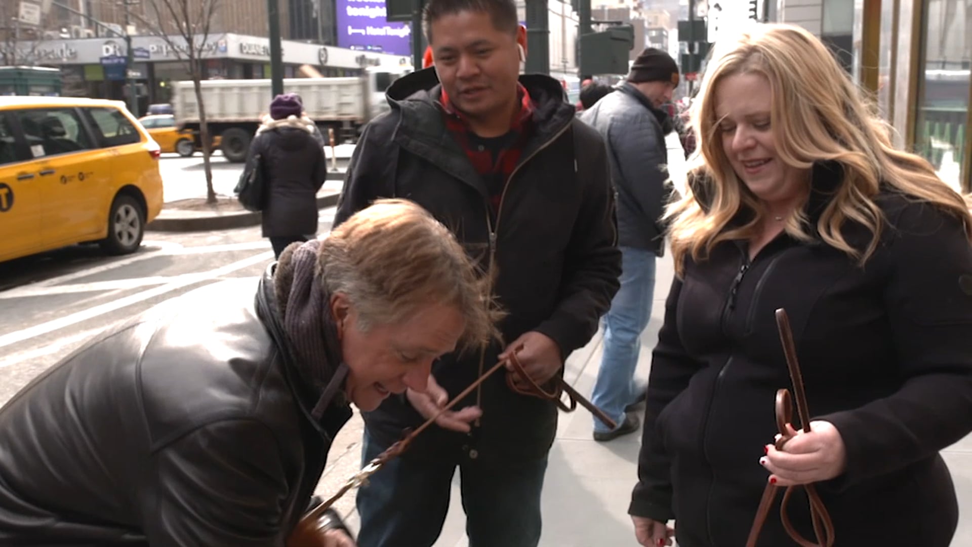 WESTMINSTER DOG SHOW