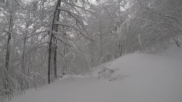 Euskalpow, tradiciones de invierno 