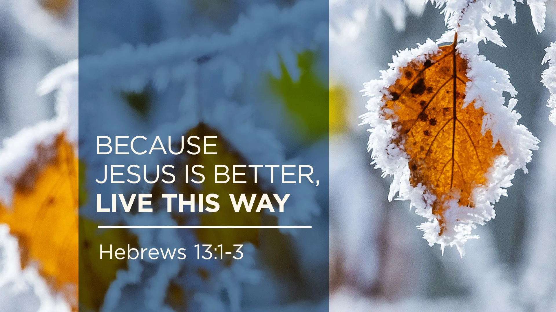 Because Jesus Is Better, Live this Way in Jesus Is Better on Vimeo