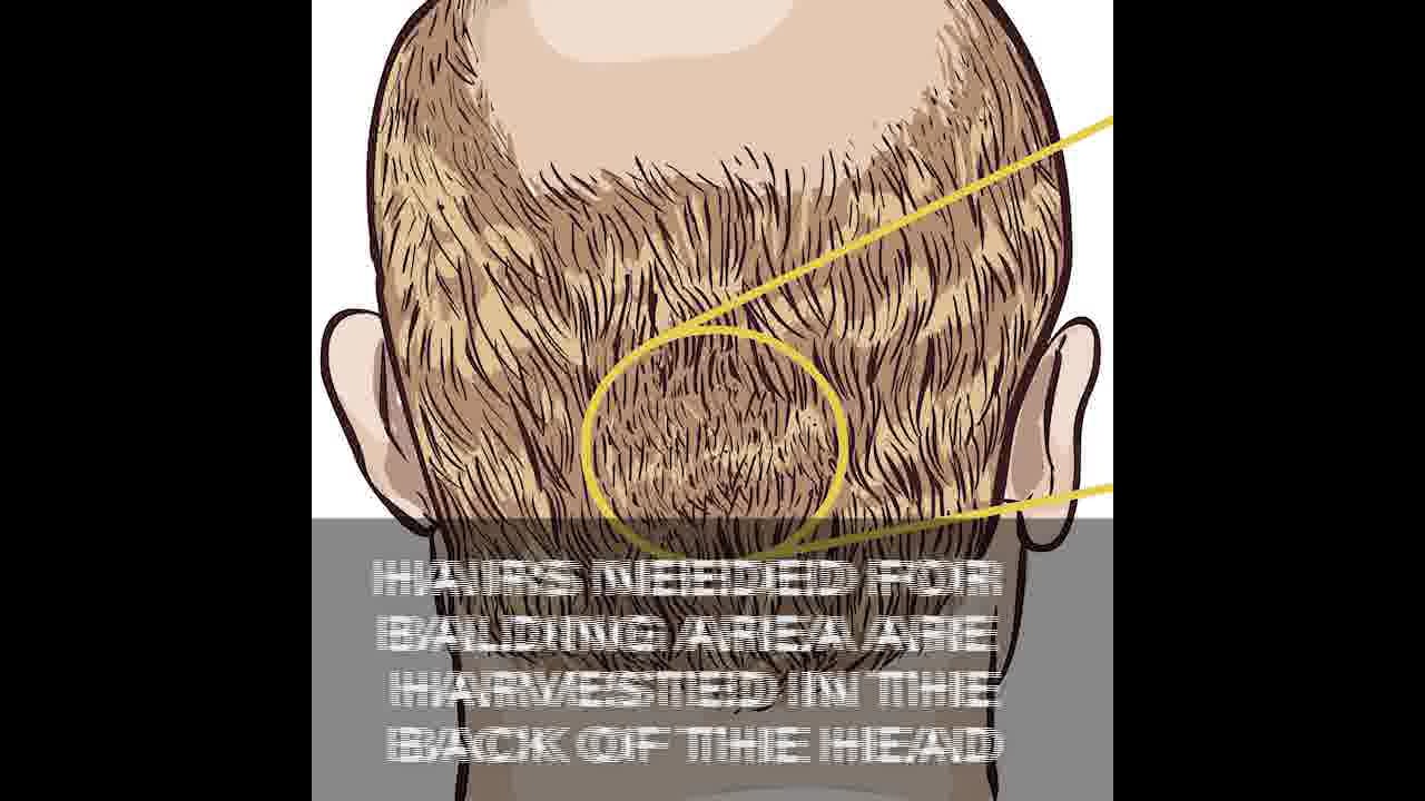 facebook new ad