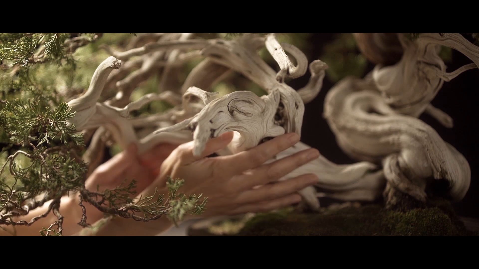 'Starwood, Alma Eterna', de Porcelanosa Grupo - Spot Online (2017)