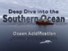 Deep Dive: Ocean Acidification