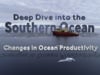 Deep Dive: Changes in Ocean Productivity