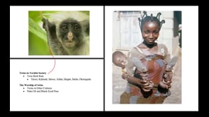 Devotion 068:04.23.2017 - The Monkey Gods