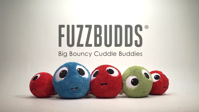 Fuzzbudds store