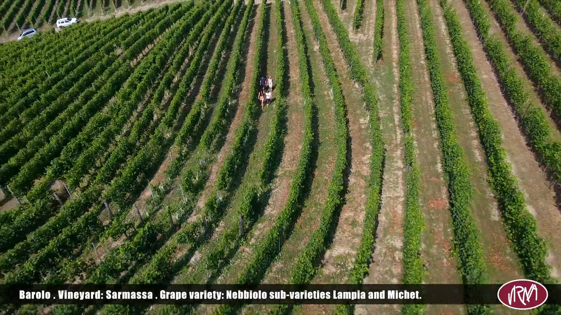 Barolo, vineyard Sarmassa, Nebbiolo