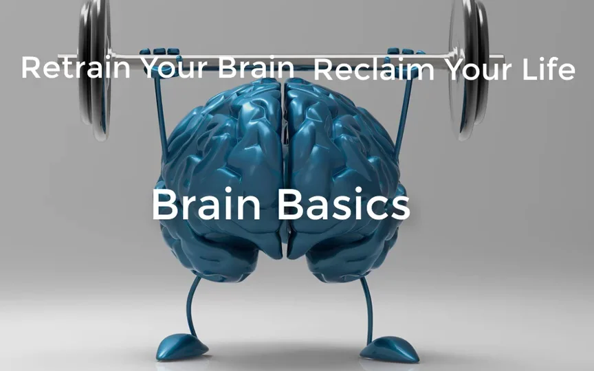 Brain Basics 