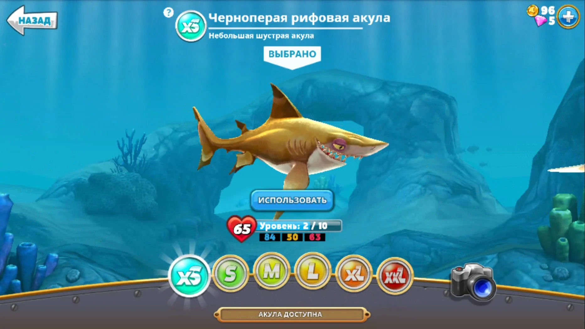 Hungry Shark Черноперая рифовая акула Backtip Reef