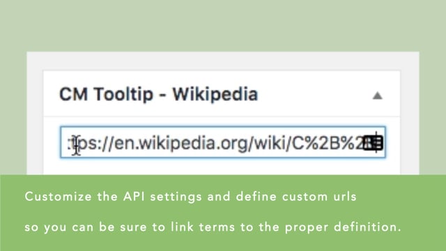 3.1. Tooltip Glossary Demo - Wikipedia Integration