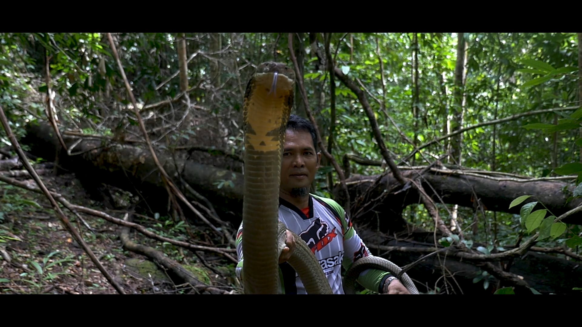 Trailer "The Malaysian Snake Guardian"