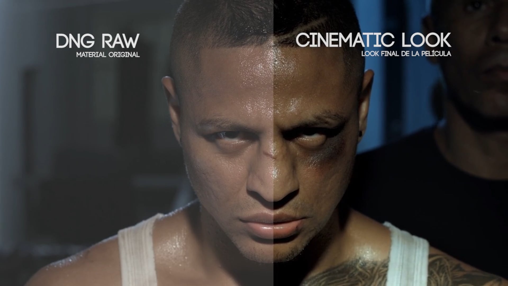 dasjasaui postproduction Reel