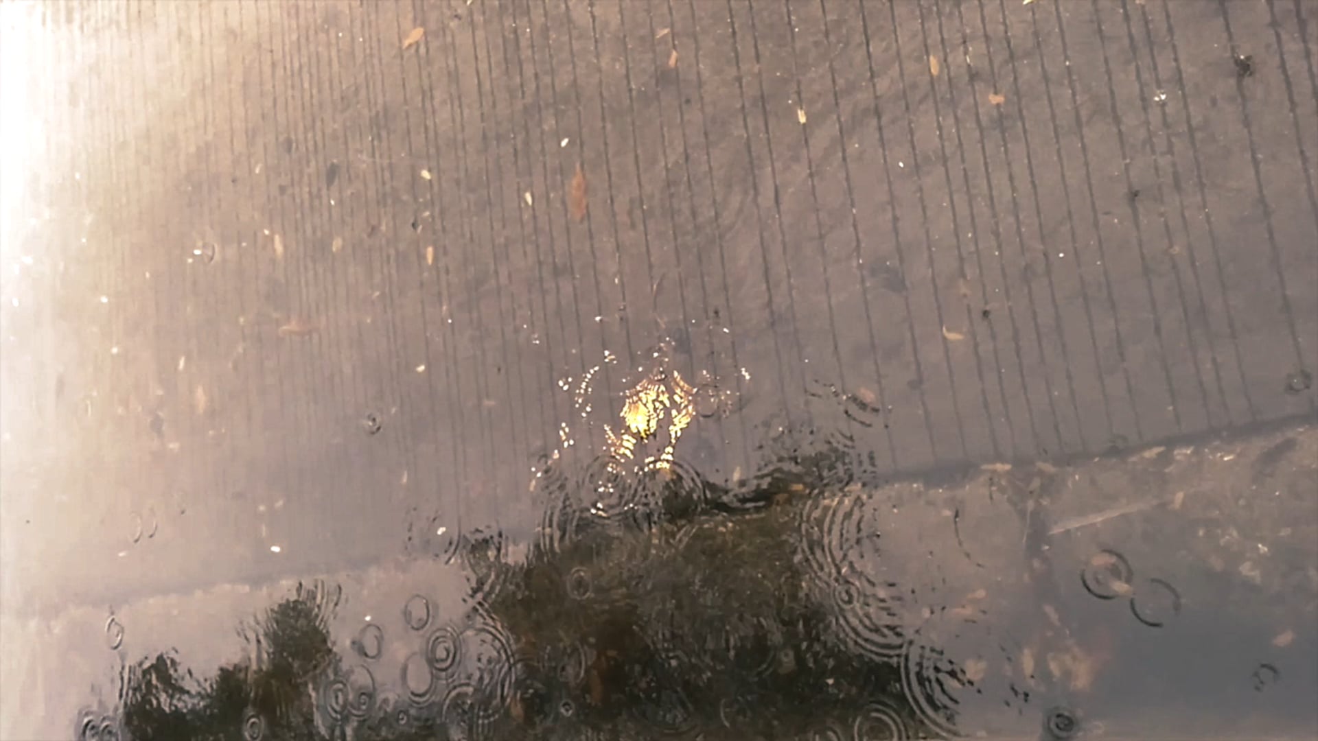 rain