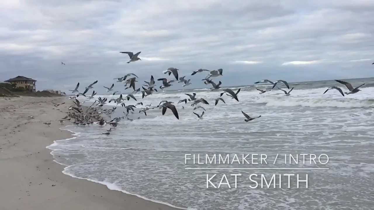 Filmmaker Intro in Kat Smith on Vimeo