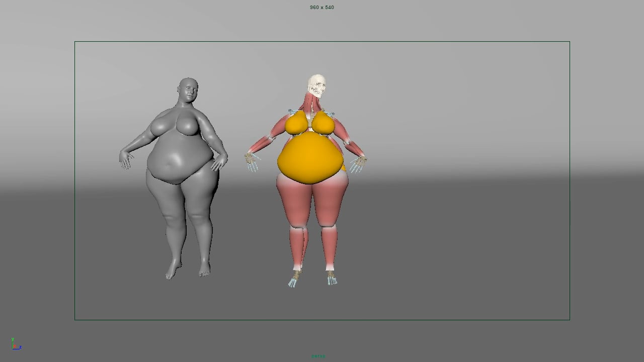 Fat_Simulation&muscles | Videos & Movies on Vimeo