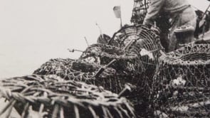 Steve Cook- Memories of a Salcombe Fisherman