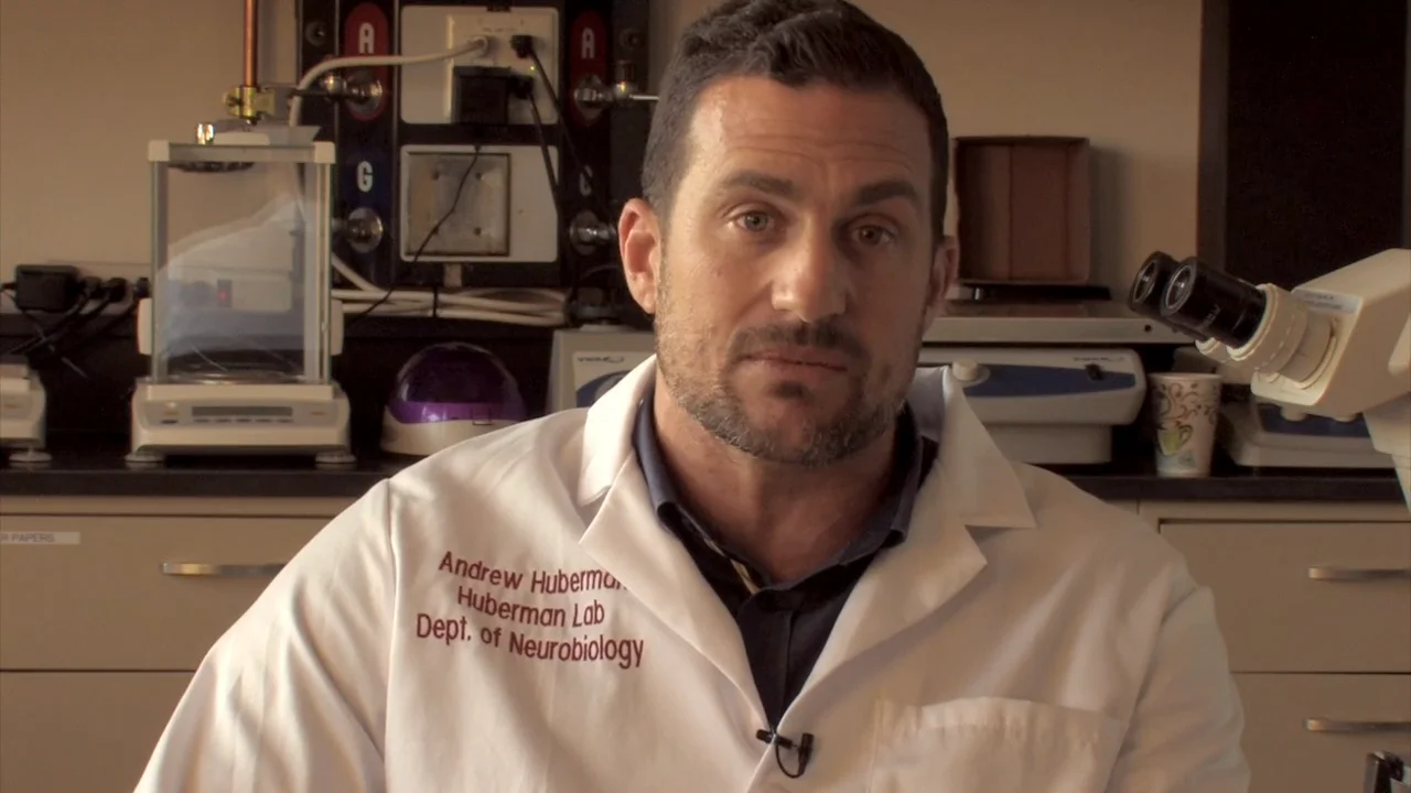 glutathione huberman lab 2018 Glaucoma Research Update: Andrew Huberman Lab, Part 1