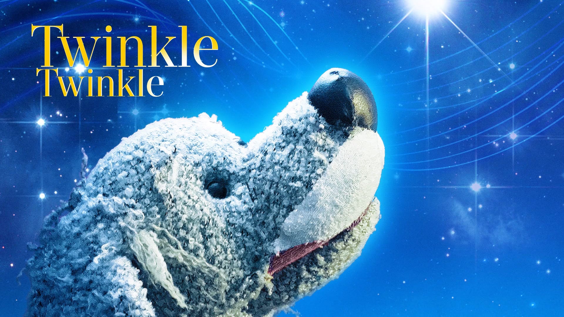 Twinkle Twinkle promo 2018