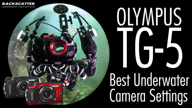 Video Tutorials - Best Underwater Camera Settings for