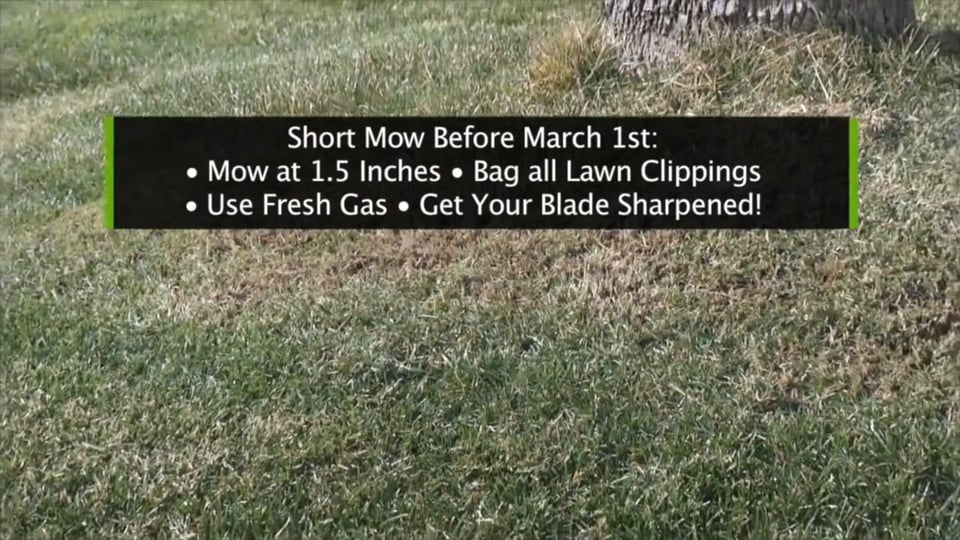 Tips from Toby – The February Short Mow