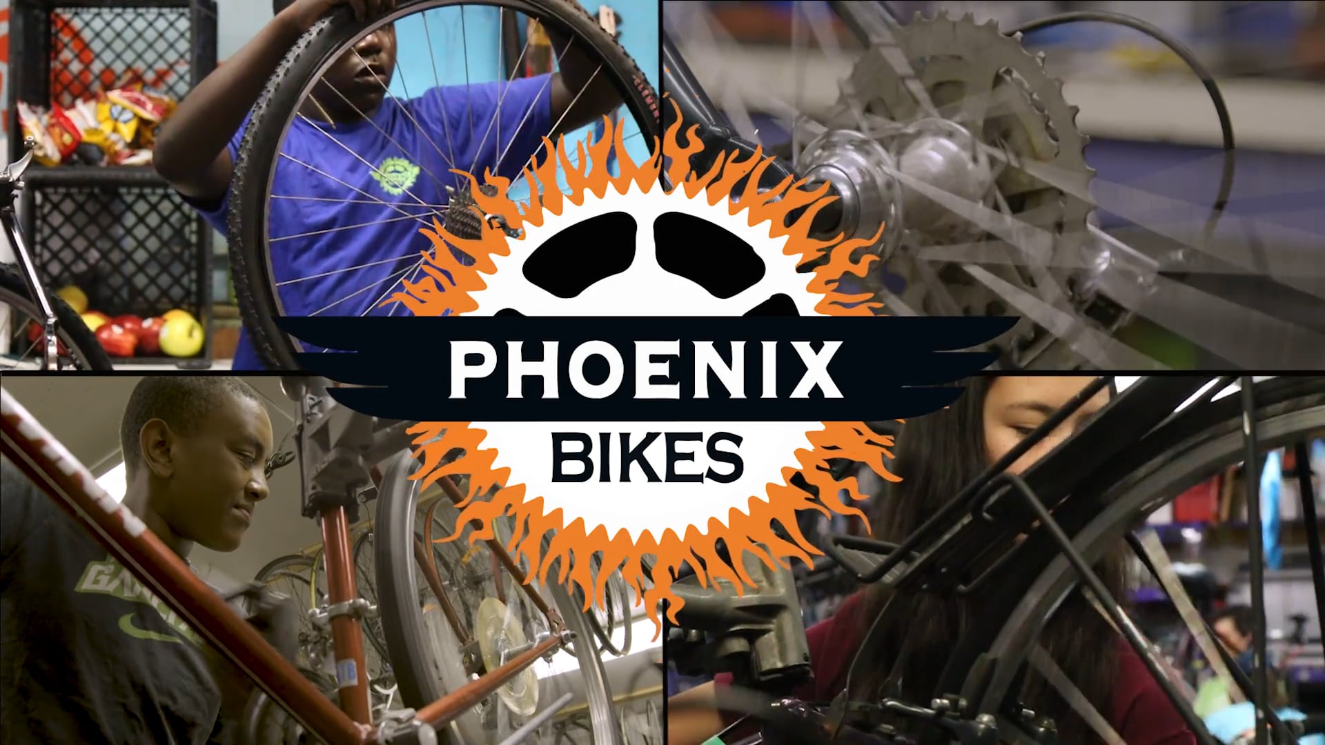 Doc in A Day: Phoenix Bikes