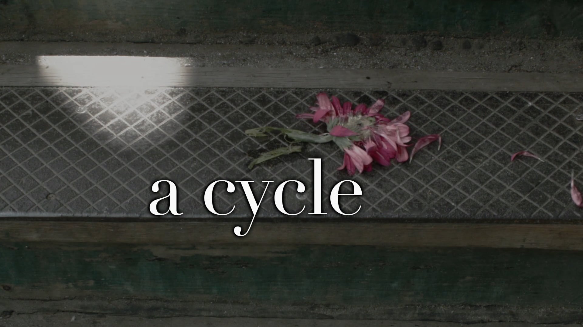 A Cycle - Official Teaser