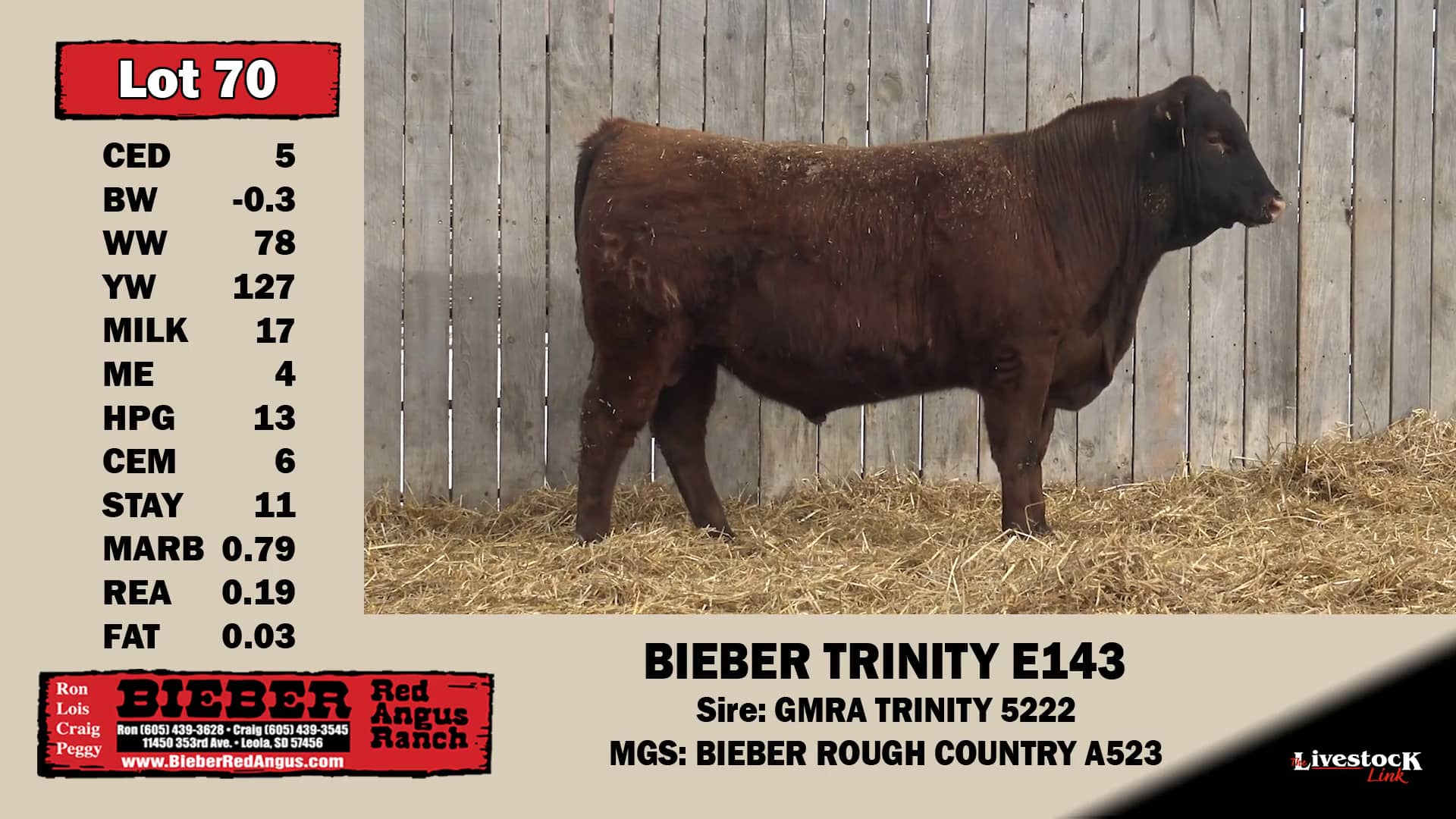70 Bieber Red Angus "Bieber Fever XIV" on Vimeo