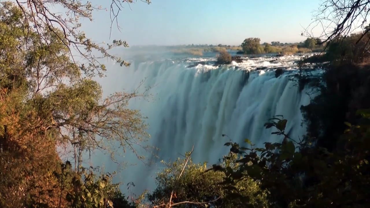 Trading stories Zambia