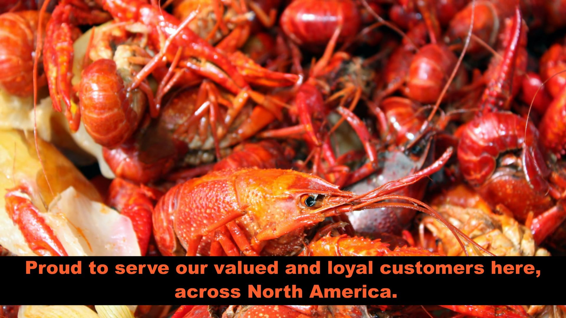 Buy Live Crawfish Online Fresh Crawfish For Sale Louisiana Crawfish