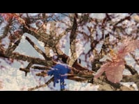 Sonic Tree