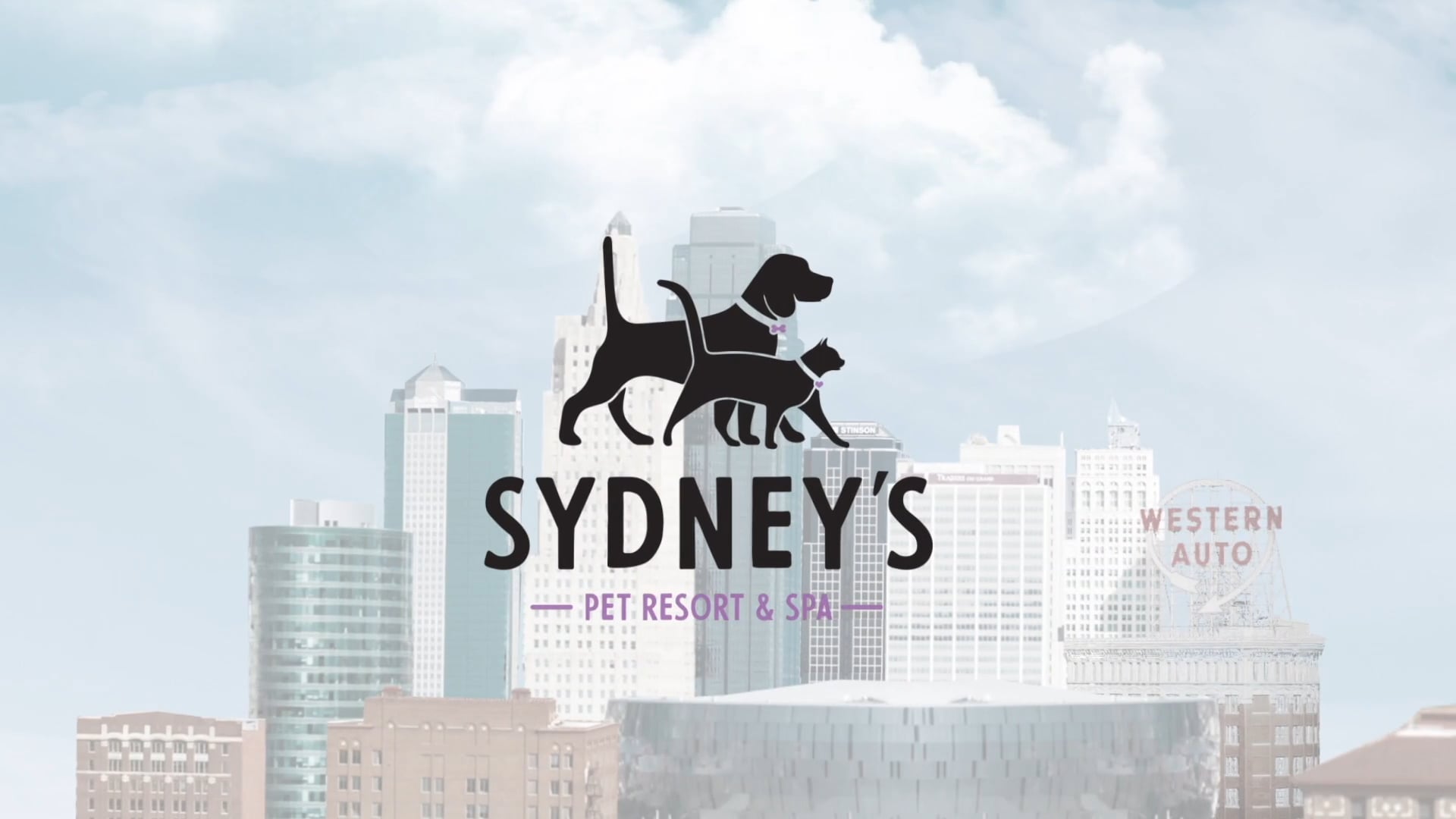 Sydneys Pet Spa V1 on Vimeo