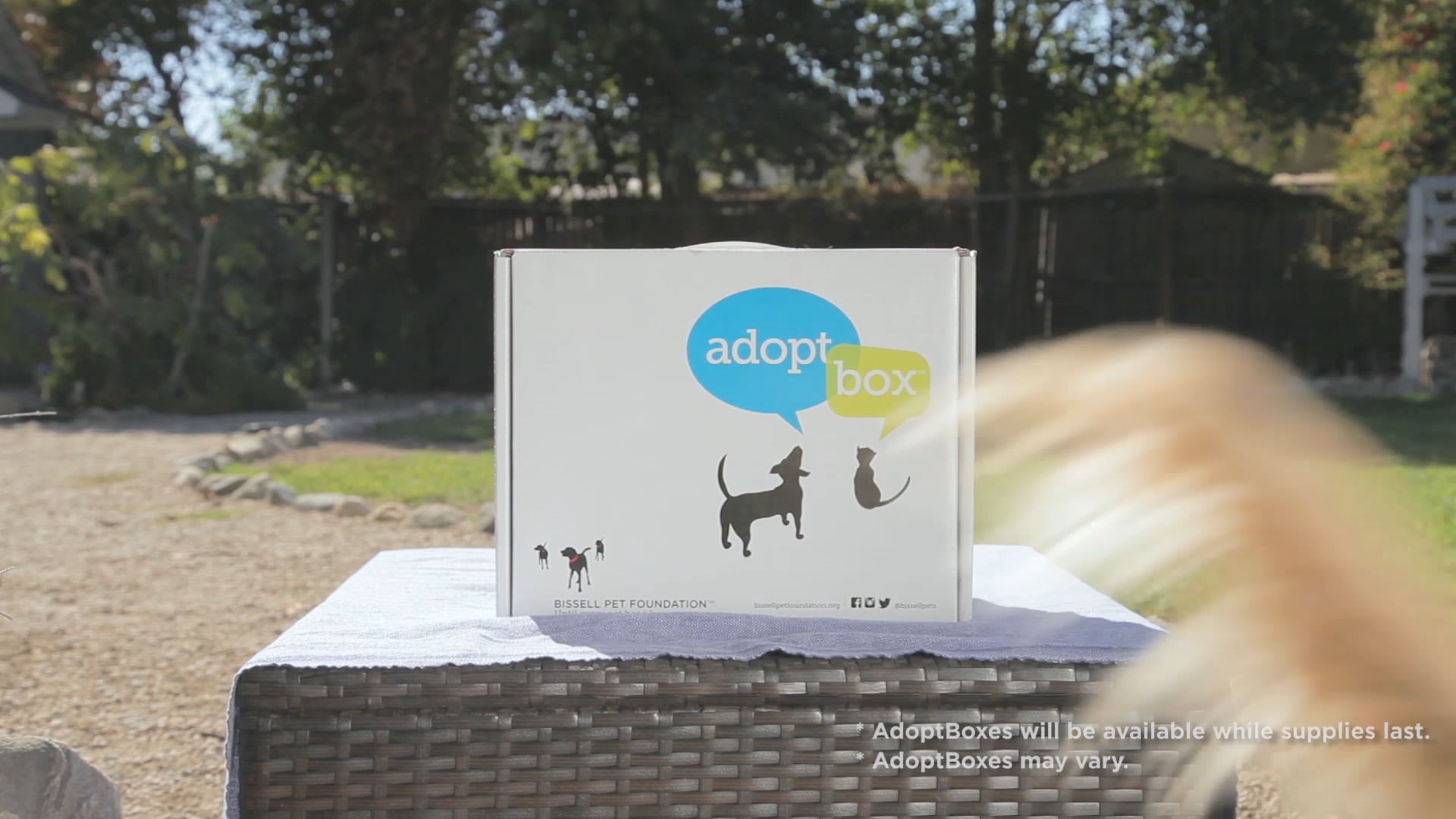 Bissell Pet Foundation Empty the Shelters