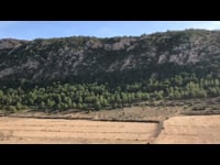 Sacred trunk -  Hondón de las Nieves