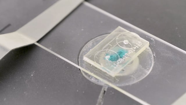 Trig Claims 2018 Industrial Design Excellence Award with Microfluidic ...