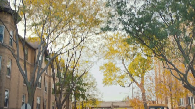peoples gas commercial