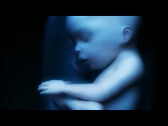 Life in the womb - 9 months in 4 minutes