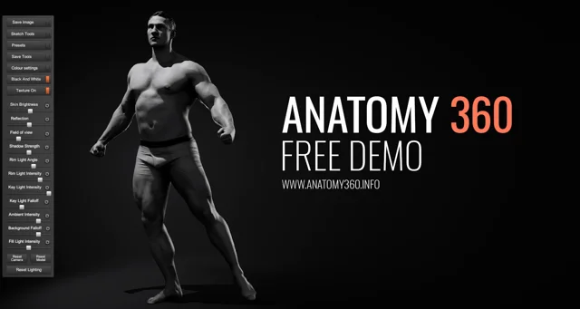 Anatomy360: Need an Anatomy Reference From Any Angle? Try This! - Paintable