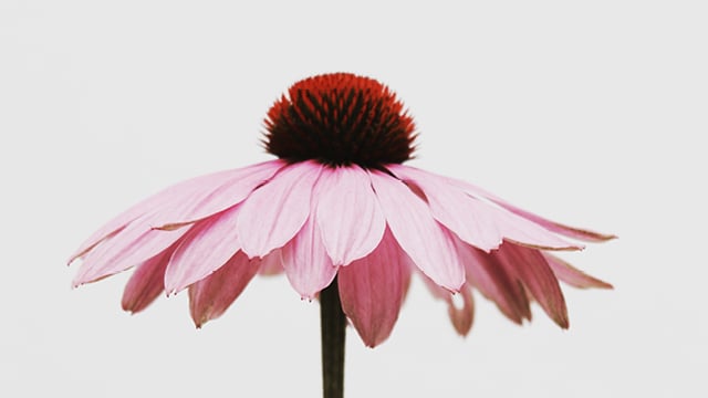 02 Wie wird Selbstbewusstsein überhaupt gebildet?