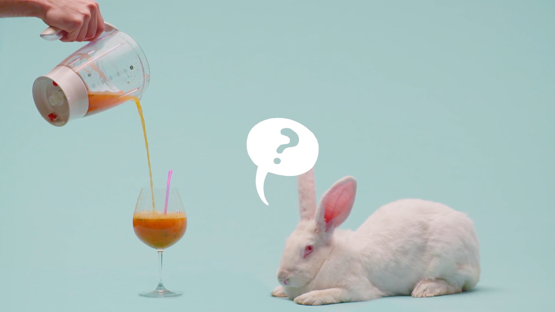Whiterabbit Promo