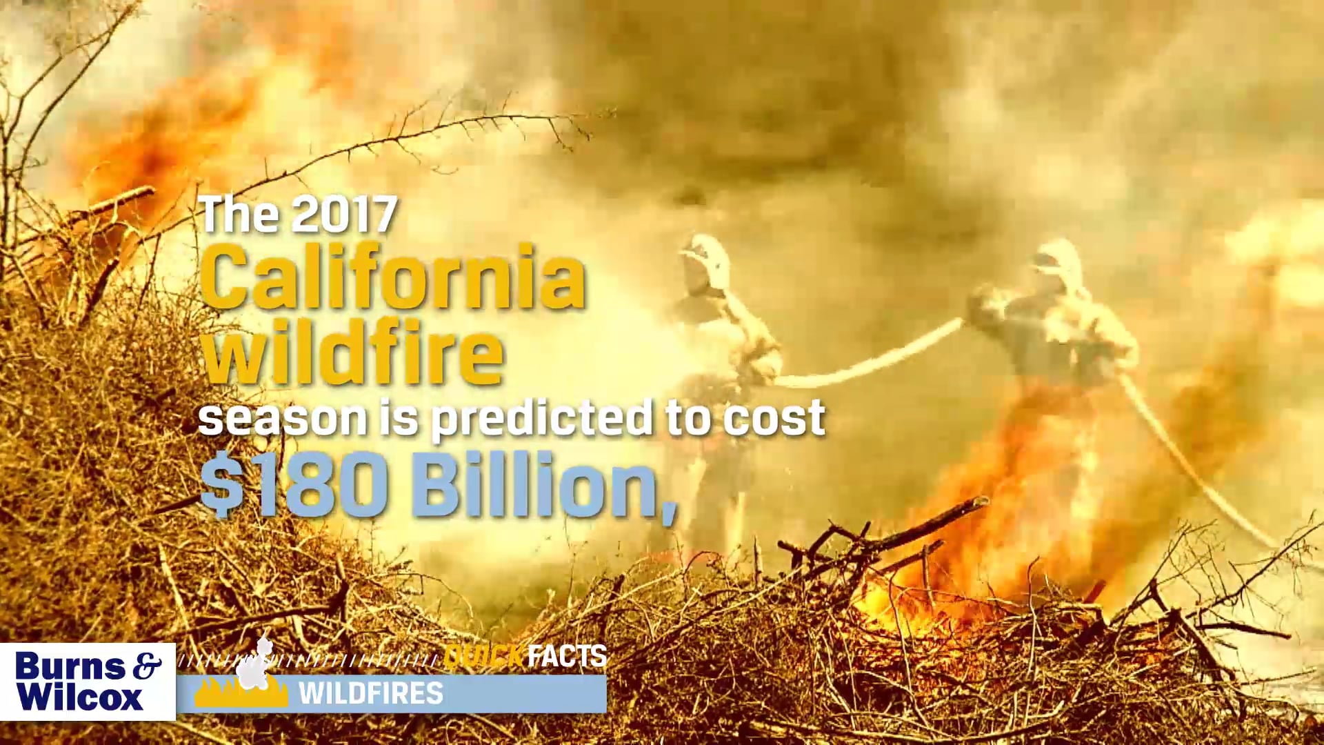 Quick Facts Wildfires On Vimeo 0531