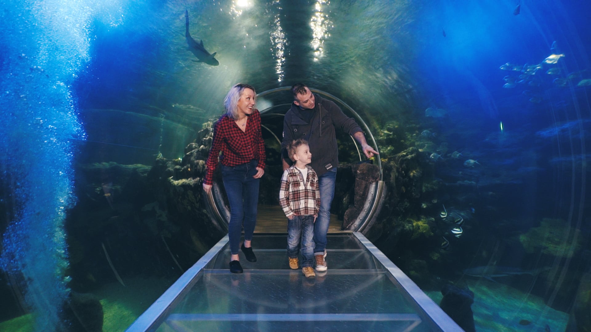 The SEA LIFE Centre Birmingham