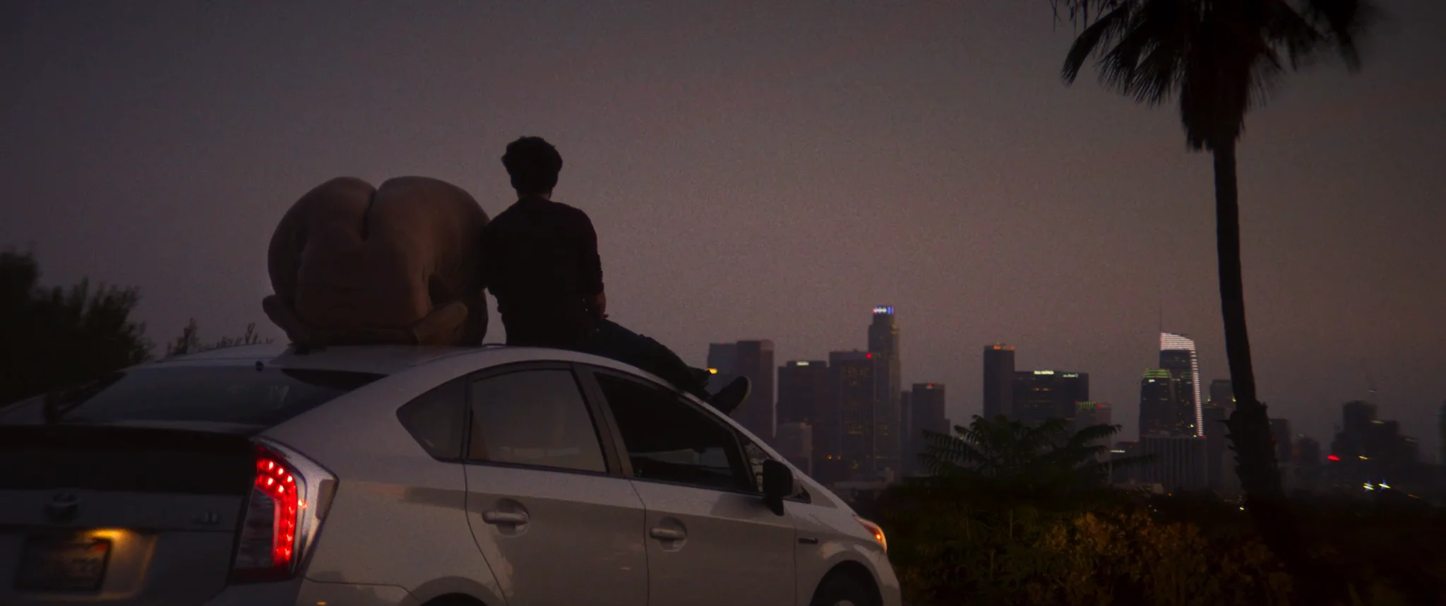 Nice Ass